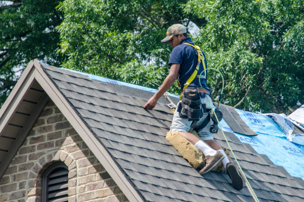 Quick and Trustworthy Emergency Roof Repair Services in Lawrenceville, VA